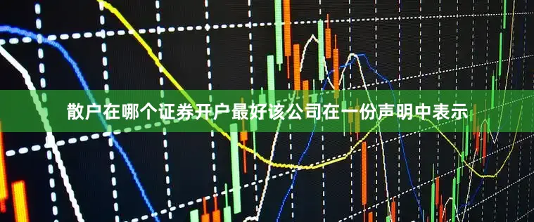 散户在哪个证券开户最好该公司在一份声明中表示