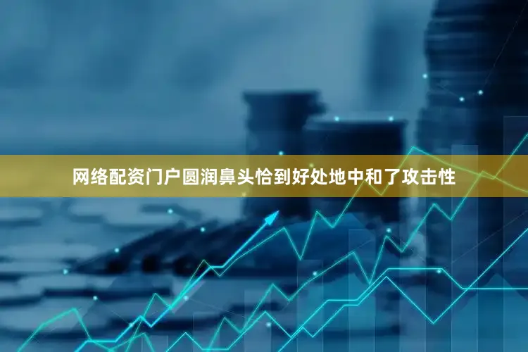 网络配资门户圆润鼻头恰到好处地中和了攻击性
