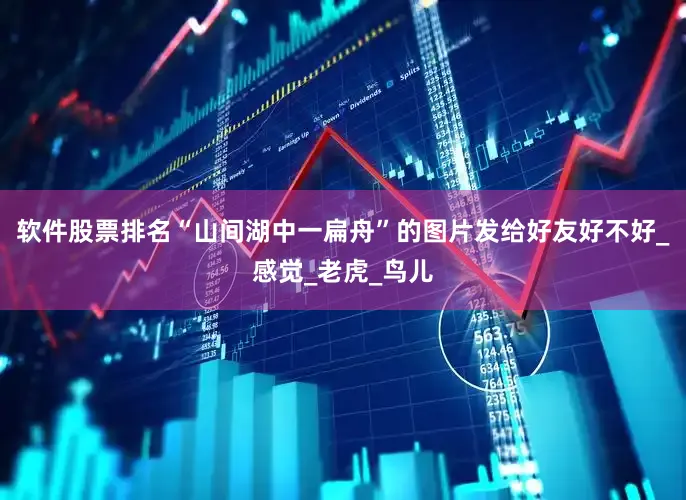 软件股票排名“山间湖中一扁舟”的图片发给好友好不好_感觉_老虎_鸟儿